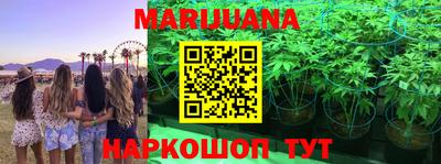 mdma Аргун