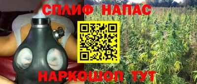 mdma Аргун