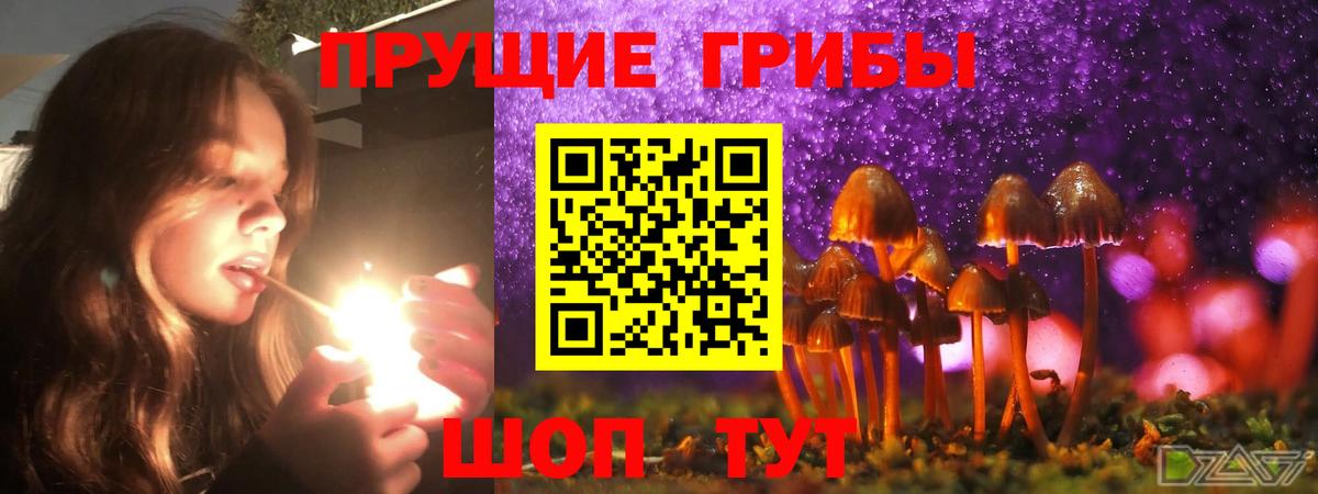 Псилоцибиновые грибы мицелий  купить  цена  Асино  Вход с VPN 