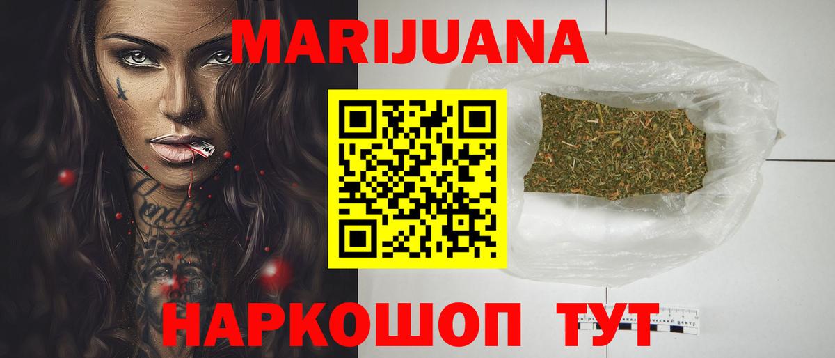 МЕФ Асино